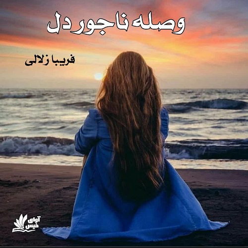 دانلود کتاب وصله ناجور دل  از فریبا زلالی