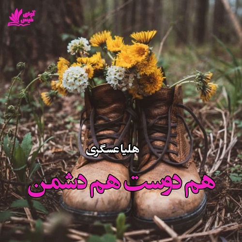 دانلود کتاب هم دوست هم دشمن  از هلیا عسگری