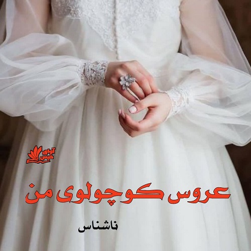 دانلود کتاب عروس کوچولوی من  از ناشناس