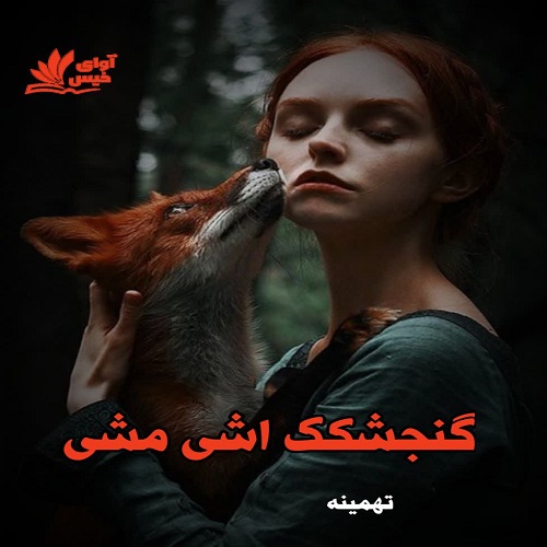 دانلود کتاب گنجشکک اشی مشی  از تهمینه
