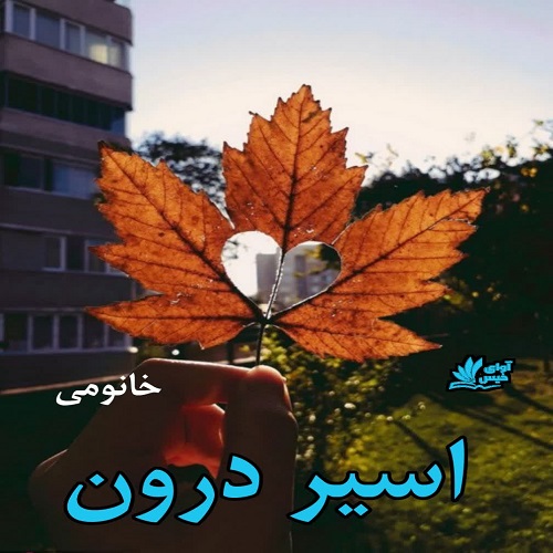 دانلود کتاب اسیر درون  از خانومی