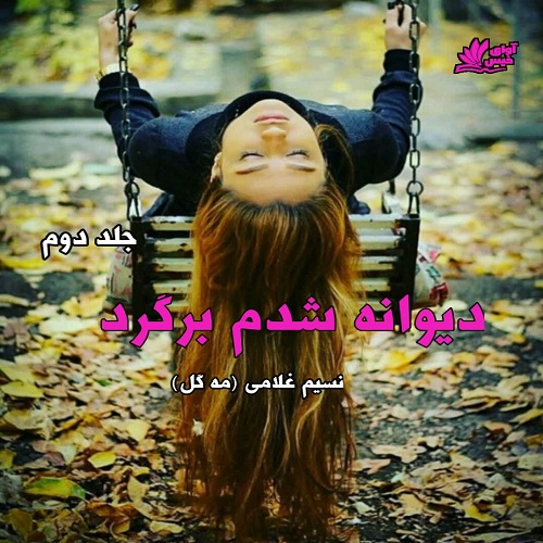 دانلود کتاب دیوانه شدم برگرد جلد دوم  از مه گل