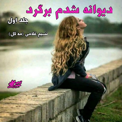 دانلود کتاب دیوانه شدم برگرد جلد اول  از مه گل