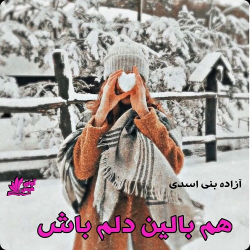 کتاب هم بالین دلم باش