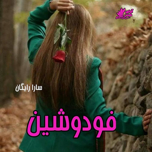 دانلود کتاب فودوشین  از سارا رایگان