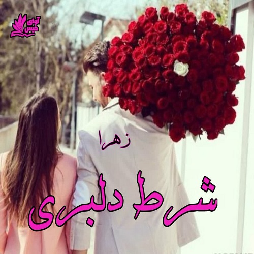 دانلود کتاب شرط دلبری  از زهرا