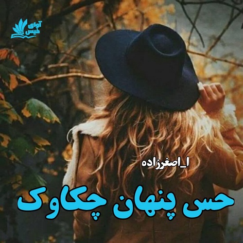 کتاب حس پنهان چکاوک