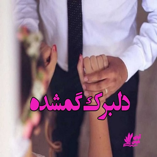 دانلود کتاب دلبرک گمشده  از ناشناس