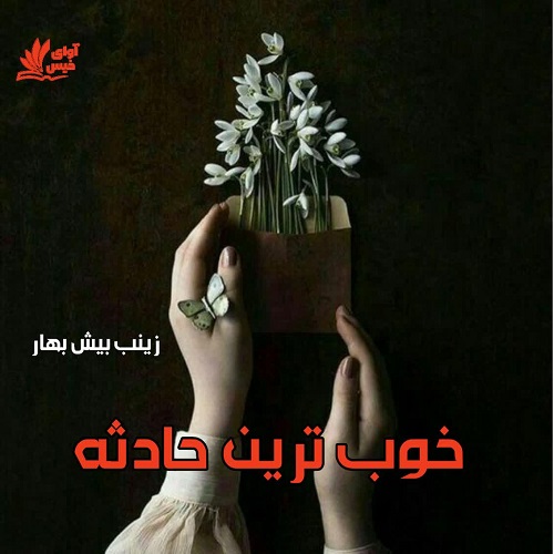 دانلود کتاب خوب ترین حادثه  از زینب بیش بهار