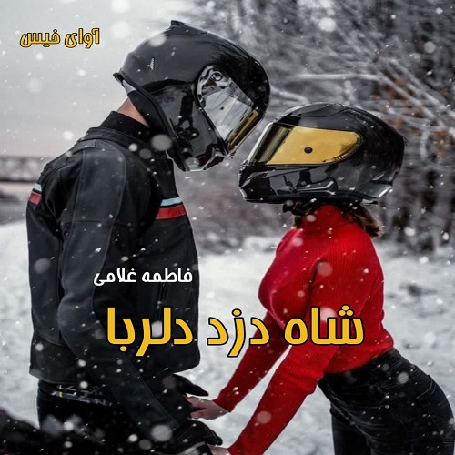 کتاب شاه دزد دلربا