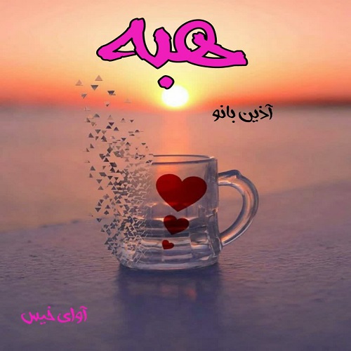 دانلود کتاب هبه  از آذین بانو