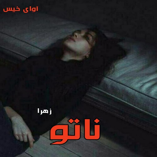 دانلود کتاب ناتو  از زهرا