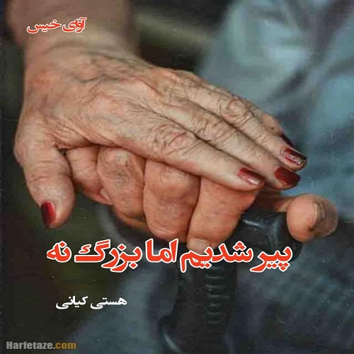 دانلود کتاب پیر شدیم اما بزرگ نه  از هستی کیانی