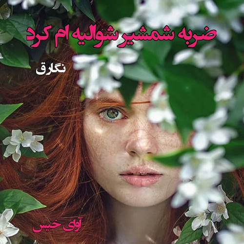 کتاب ضربه شمشیر شوالیه ام کرد