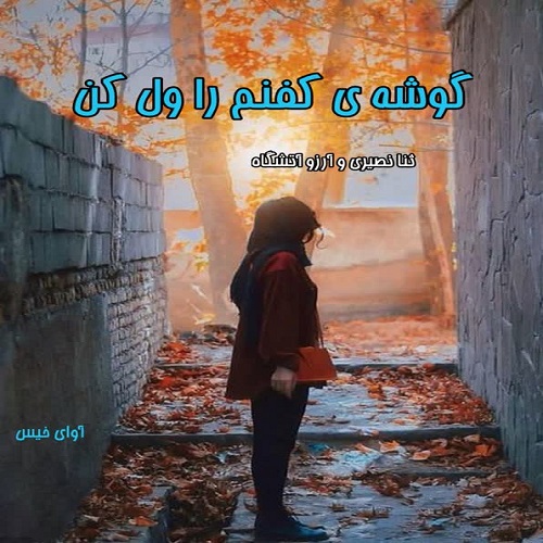 کتاب گوشه ی کفنم را ول کن