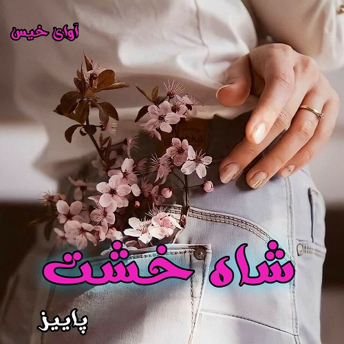 دانلود کتاب شاه خشت pdf از پاییز