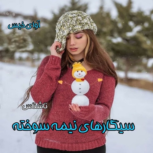دانلود کتاب سیگارهای نیمه سوخته  از ناشناس