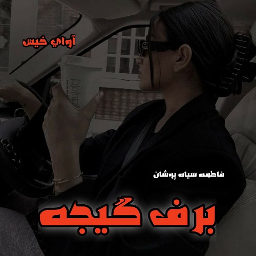 دانلود کتاب برف گیجه  از فاطمه سیاه پوشان
