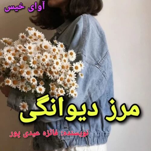 دانلود کتاب مرز دیوانگی  فائزه عیدی پور