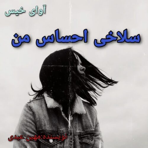 دانلود کتاب سلاخی احساس من  مهین عبدی