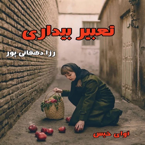 دانلود کتاب تعبیر بیداری  از رزا دهقانی پور