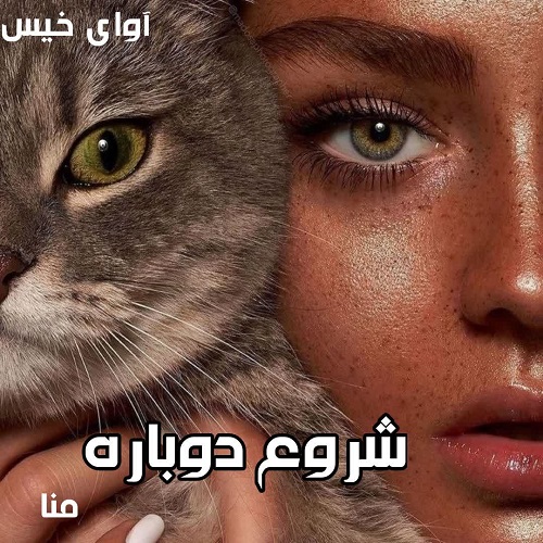 دانلود کتاب شروع دوباره  از منا