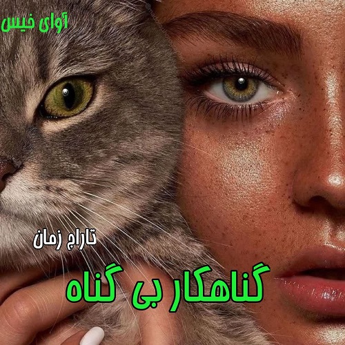 دانلود کتاب گناهکار بی گناه  از تاراج زمان