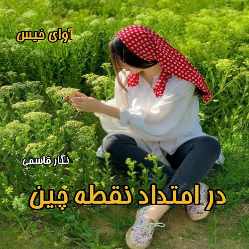 کتاب در امتداد نقطه چین