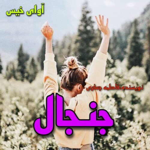 دانلود کتاب جنجال  از فاطمه جعفری