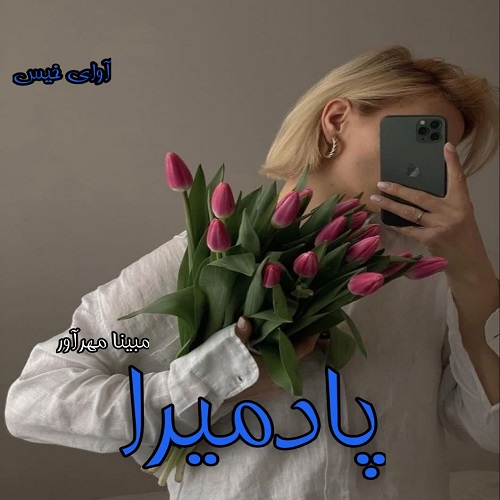 دانلود کتاب پادمیرا  از مبینا مهرآور