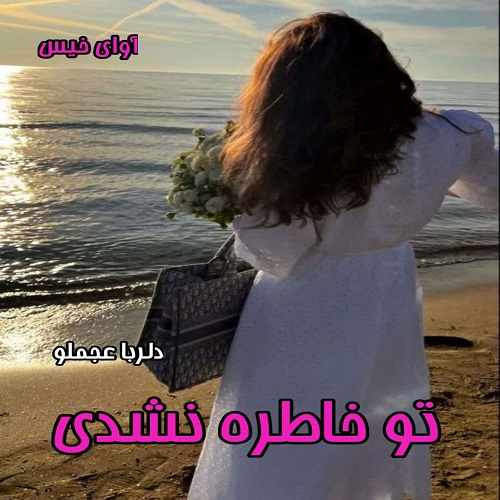 دانلود کتاب تو خاطره نشدی  از دلربا عجملو