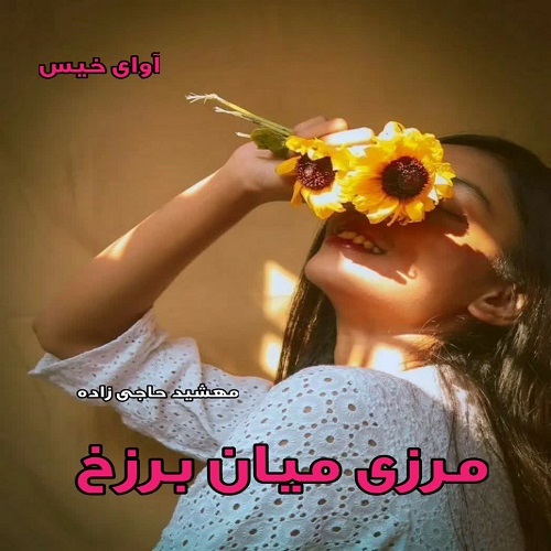 دانلود کتاب مرزی میان برزخ  از مهشید حاجی زاده