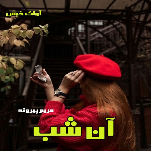 دانلود کتاب آن شب  از مریم پیروند