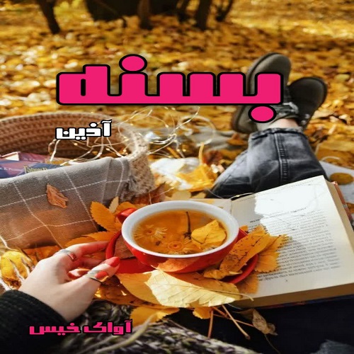 کتاب بسنه