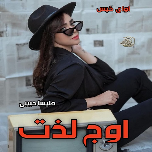 دانلود کتاب اوج لذت  از  ملیسا حبیبی