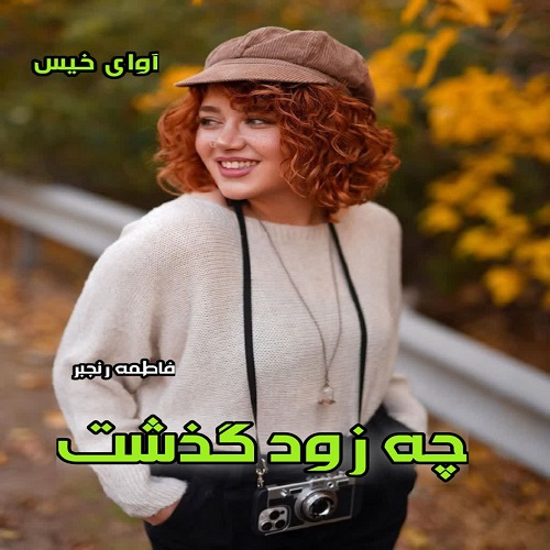 دانلود کتاب چه زود گذشت  از فاطمه رنجبر