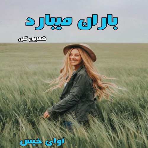 دانلود کتاب باران میبارد  از شقایق گلی
