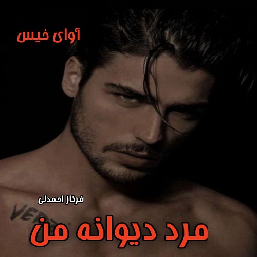 دانلود کتاب مرد دیوانه من  از فرناز احمدلی