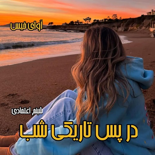 دانلود کتاب در پس تاریکی شب  از شبنم اعتمادی