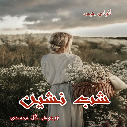 کتاب شب نشین