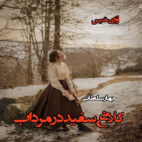 دانلود کتاب کلاغ سفید در مرداب  از بهار سلطانی 