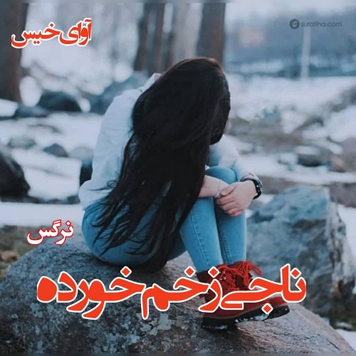 دانلود کتاب ناجی زخم خورده  از نرگس