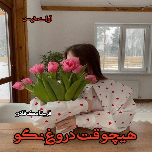 دانلود کتاب هیچوقت دروغ نگو  از فریدا مک فادن