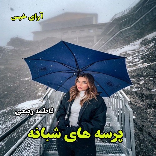 کتاب پرسه های شبانه