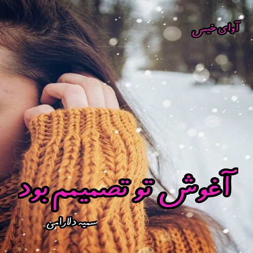 دانلود کتاب آغوش تو تصمیمم بود  از سمیه دلارامی