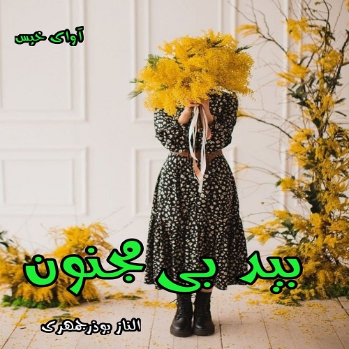 دانلود کتاب بید بی مجنون  از الناز بوذرجمهری