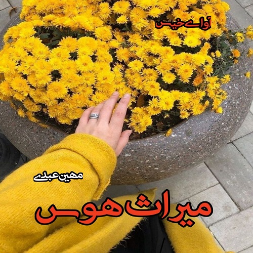 دانلود کتاب میراث هوس  از مهین عبدی