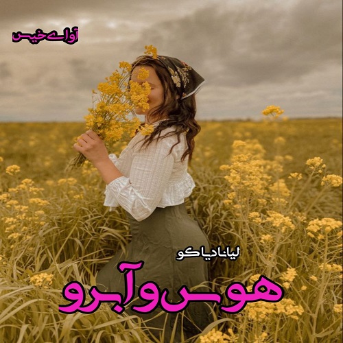 دانلود کتاب هوس و آبرو (جلد سوم)  از لیانا دیاکو