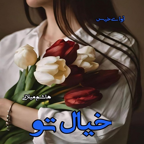 دانلود کتاب خیال تو (جلد دوم فصل عاشقی)  از هاشم میلانی