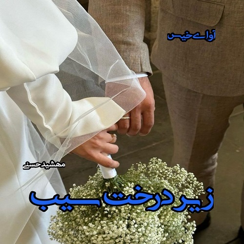 دانلود کتاب زیر درخت سیب  از مهشید حسنی